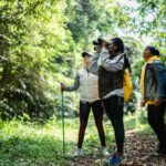 Several birdwatchers using binoculars in a forest.