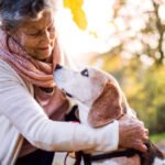 An elderly woman with a senior dog in autumn nature.